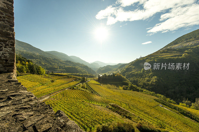 从Castello di_Segonzano观看Cembra Valley (Trentino)的葡萄酒梯田